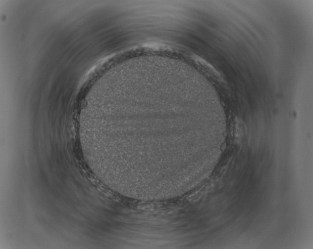 X0000084040776200703161830