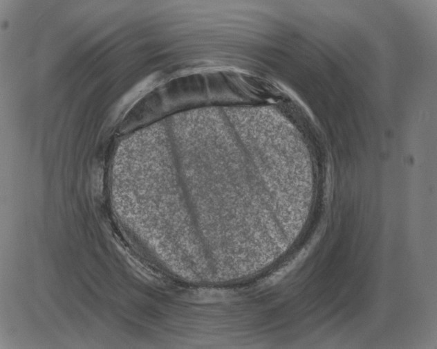 X0000084040777200703161830