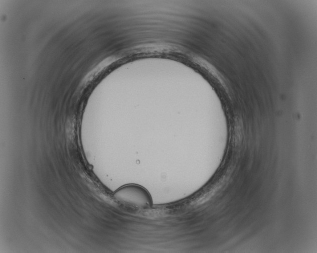 X0000084040778200703161830