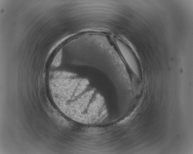 X0000084040779200703161830