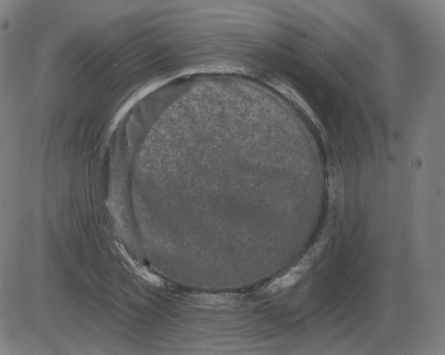 X0000084040781200703161830