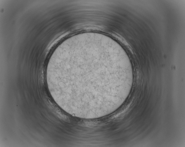 X0000084040782200703161830