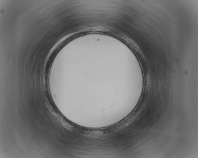 X0000084040784200703161830