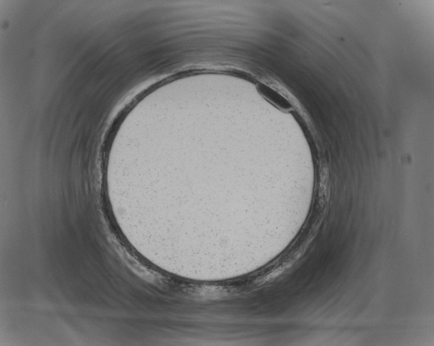 X0000084040787200703161830