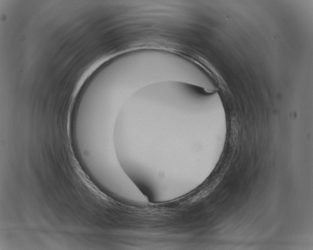 X0000084040788200703161830