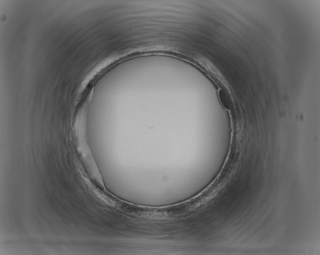 X0000084040789200703161830