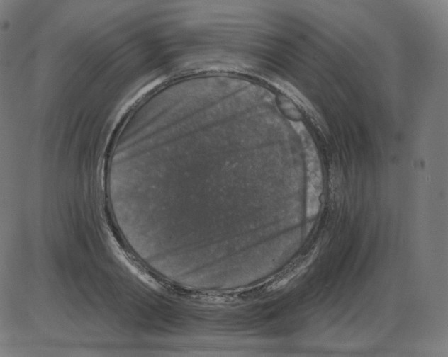 X0000084040790200703161830