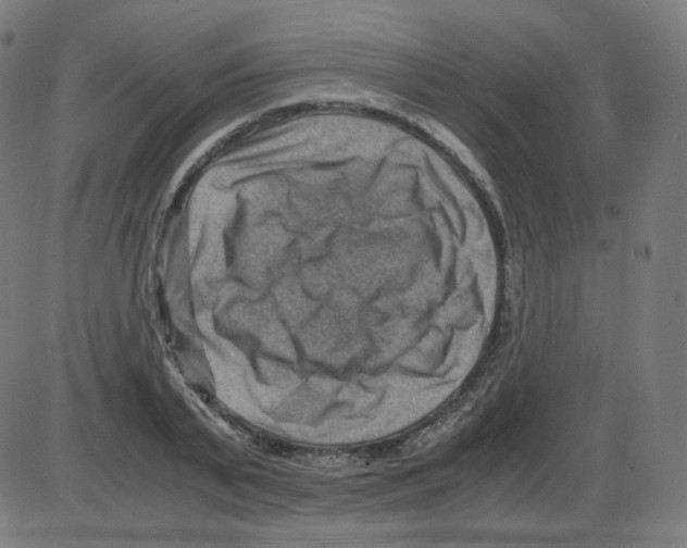 X0000084040791200703161830