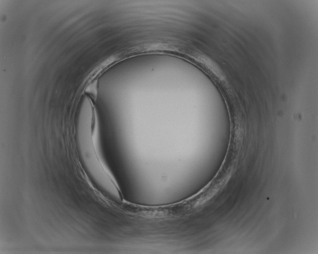 X0000084040793200703161830