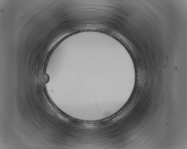 X0000084040794200703161830