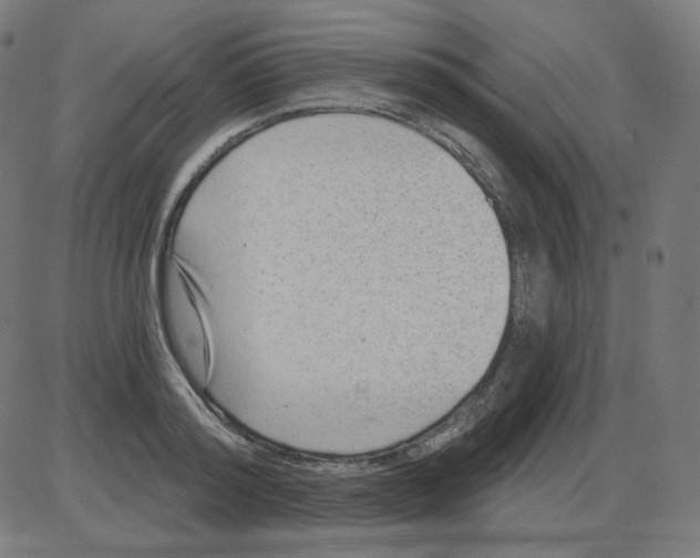 X0000084040796200703161830