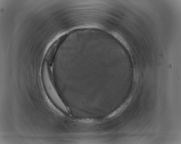 X0000084040797200703161830