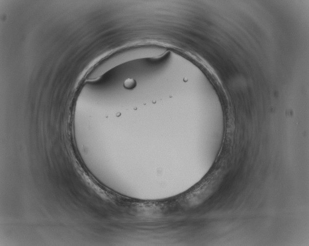 X0000084040799200703161830