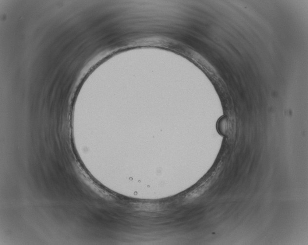 X0000084040800200703161830