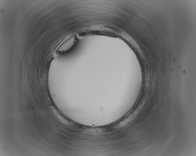 X0000084040801200703161830