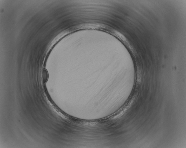 X0000084040802200703161830