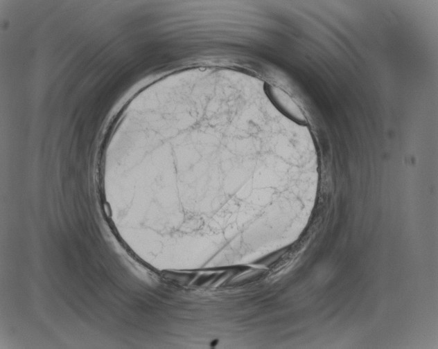 X0000084040803200703161830