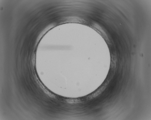 X0000084040804200703161830