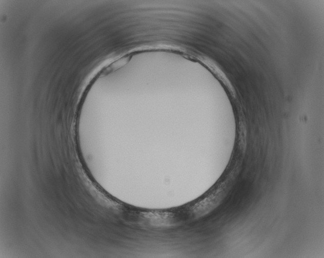 X0000084040805200703161830