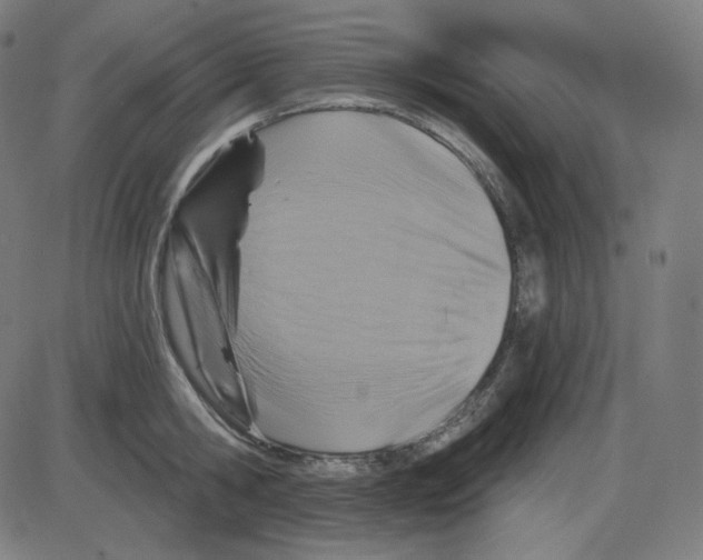 X0000084040806200703161830