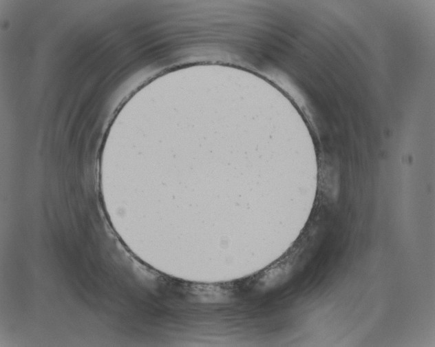 X0000084040807200703161830