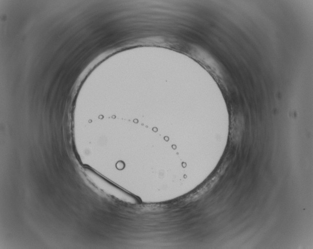 X0000084040808200703161830