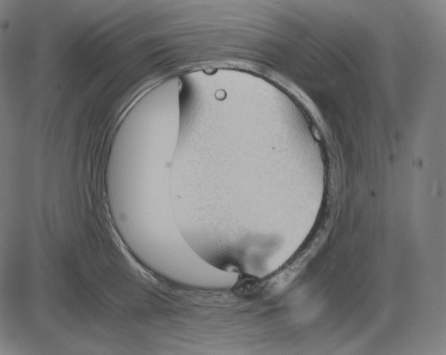 X0000084040809200703161830