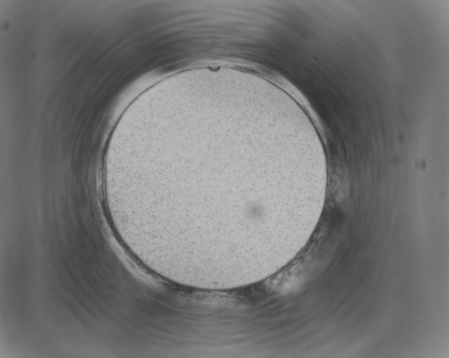 X0000084040811200703161830