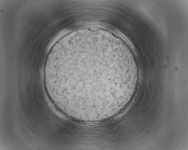 X0000084040814200703161830