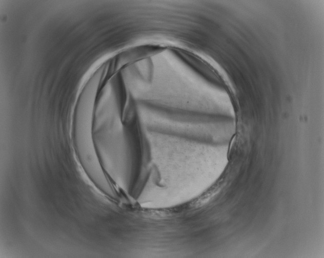 X0000084040815200703161830