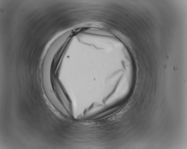 X0000084040816200703161830