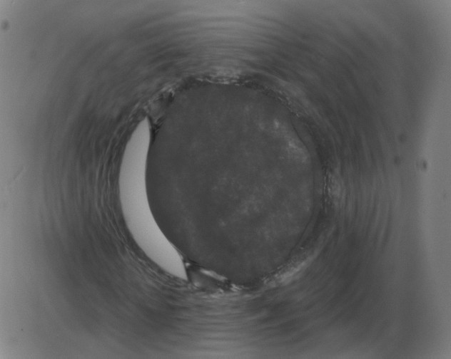 X0000084040818200703161829