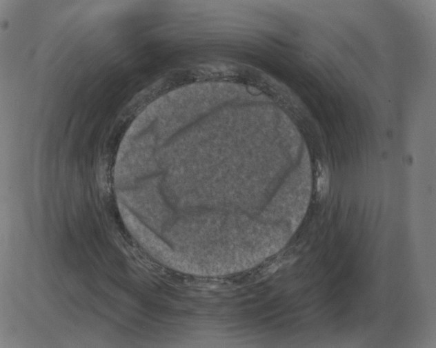 X0000084040819200703161829