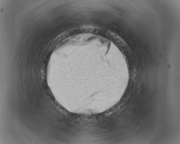 X0000084040821200703161829