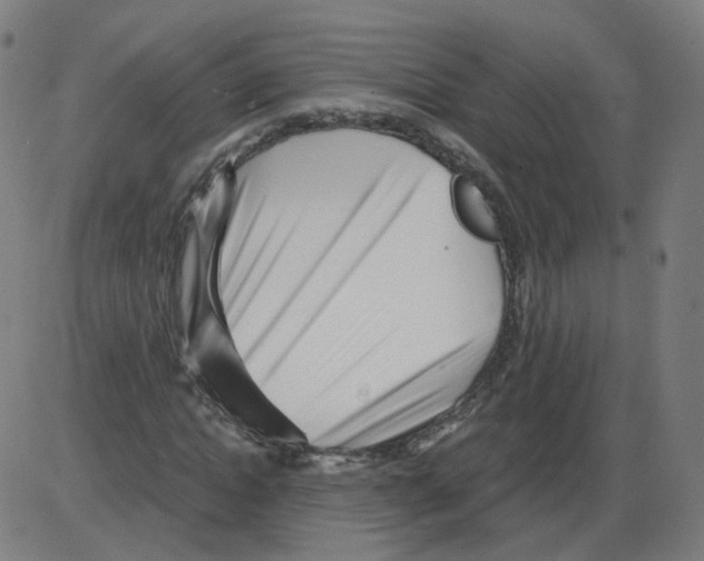 X0000084040822200703161829