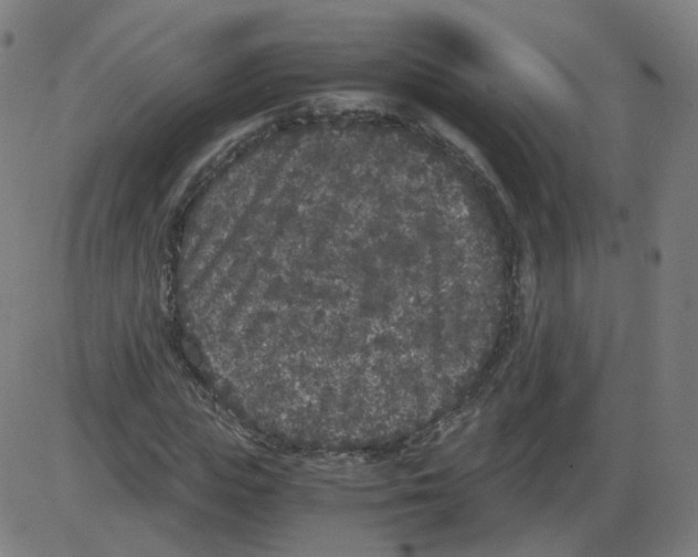 X0000084040823200703161829