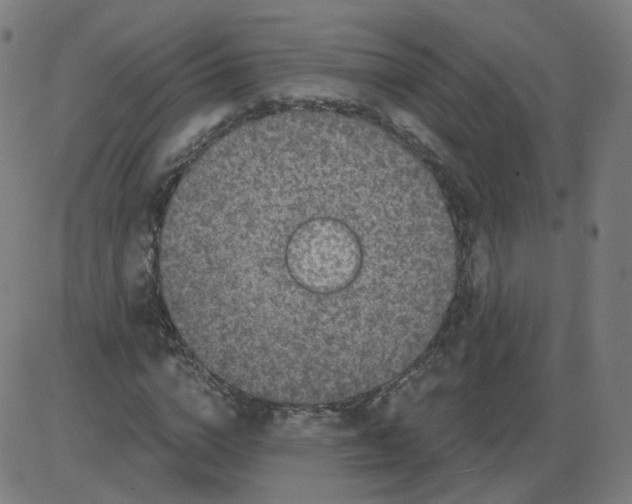 X0000084040824200703161829