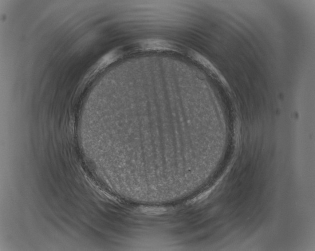 X0000084040825200703161829