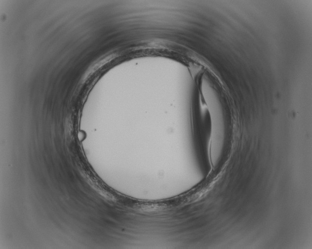 X0000084040826200703161829