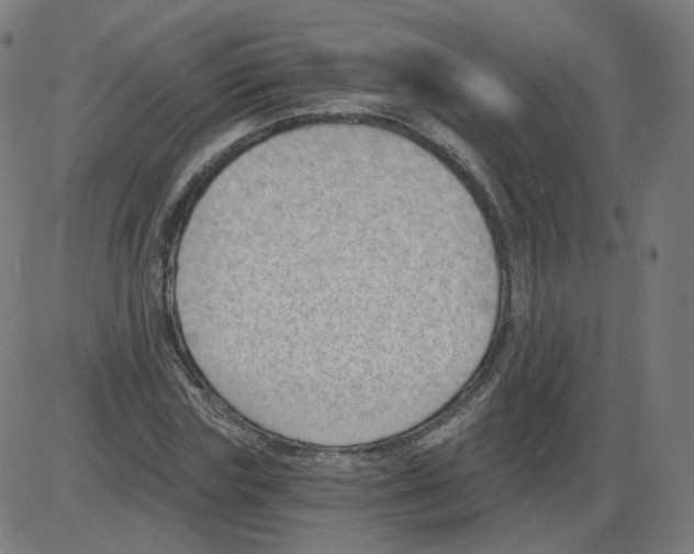 X0000084040827200703161829