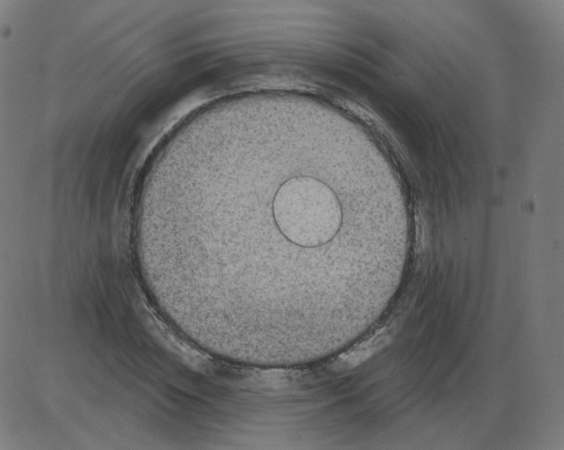 X0000084040828200703161829