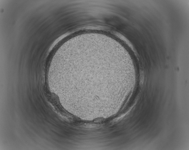 X0000084040829200703161829