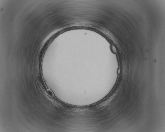 X0000084040830200703161829