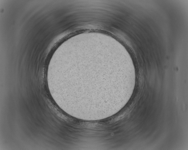 X0000084040831200703161829