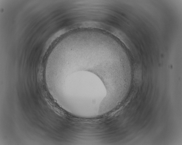 X0000084040832200703161829