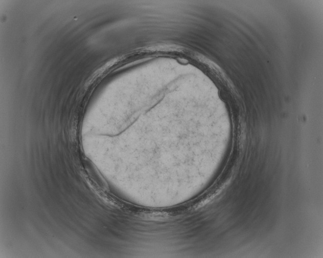 X0000084040833200703161829