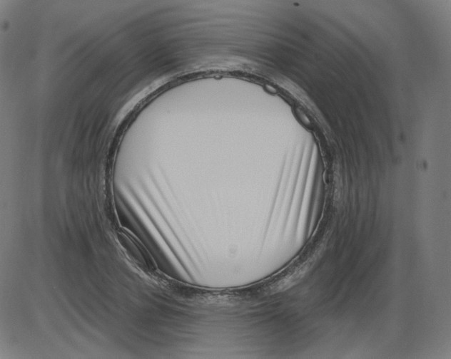 X0000084040834200703161829