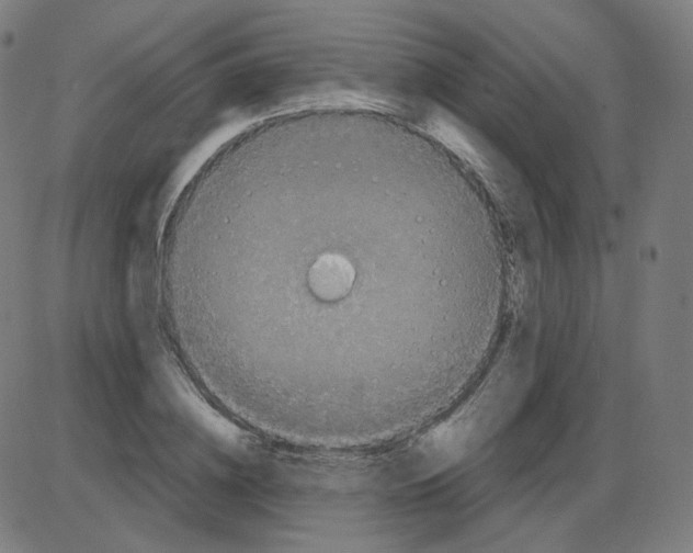 X0000084040836200703161829