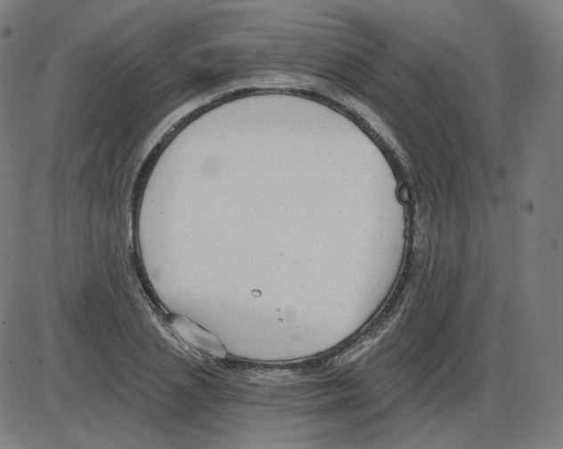 X0000084040837200703161829