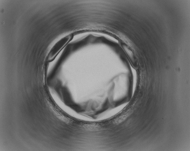 X0000084040838200703161829